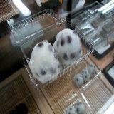 【食べ物】「出町ふたば」の紹介