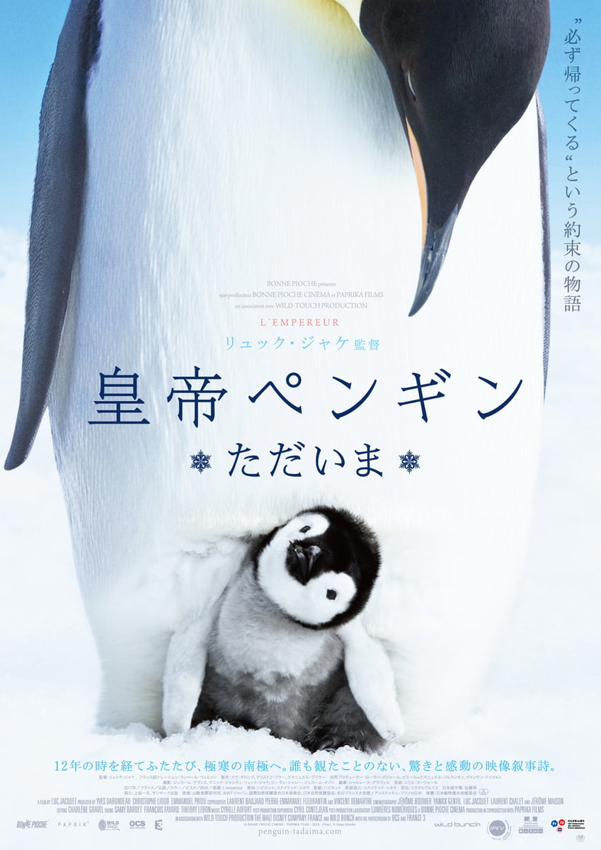 【iTunes Store】「皇帝ペンギン ただいま (字幕/吹替)（2018）」今週の映画