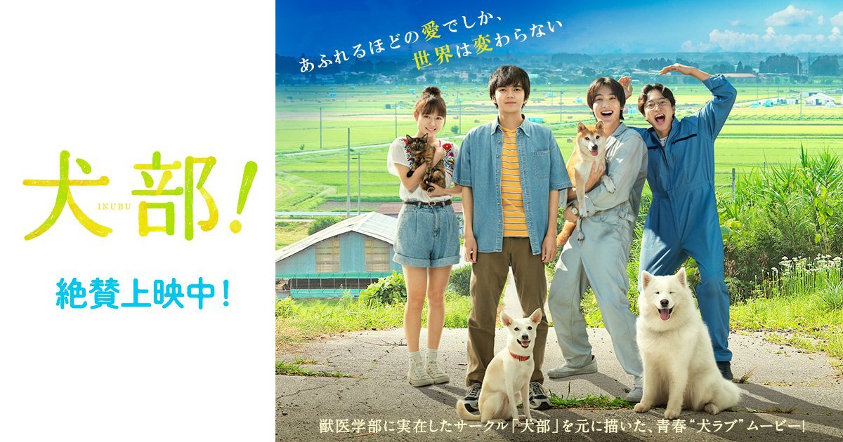 【日本映画】「犬部！〔2021〕」を観ての感想・レビュー