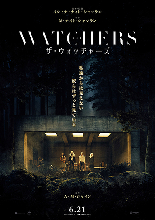 【今週公開の新作映画】「ザ・ウォッチャーズ（2024）」シャマラン的な作品が好きな人には良いかと