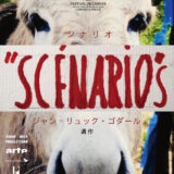 【今週公開の新作映画】「シナリオ（2025）」2025年9月5日 公開情報と私感