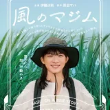 【日本映画】「風のマジム（2025）」★★★☆☆